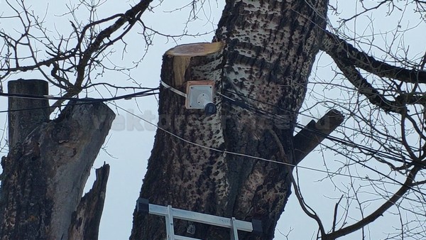 Установка видеонаблюдения на стройке в Калужской области. Камера 5