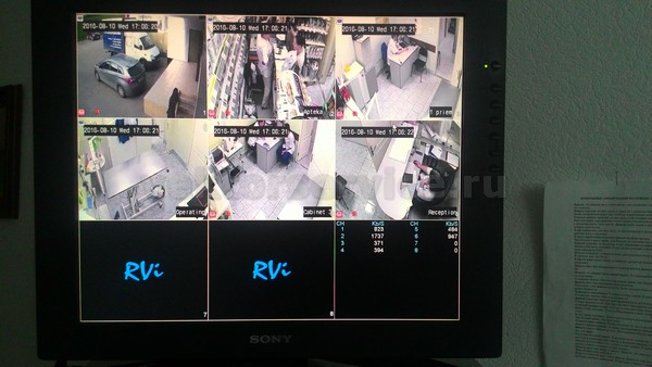 Установка IP видеонаблюдения в ветеринарном центре. Вид